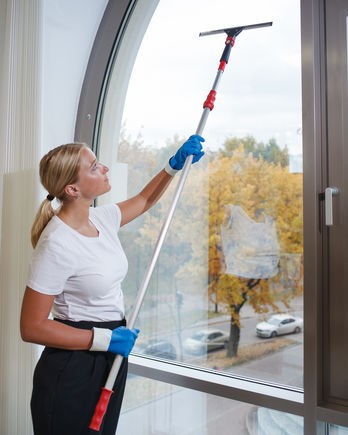 166390 Набор №7 Чистые окна с Эволюшн Vileda Professional