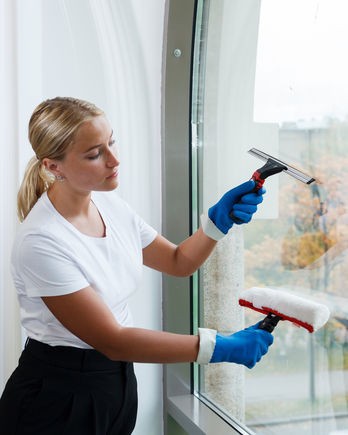 166390 Набор №7 Чистые окна с Эволюшн Vileda Professional