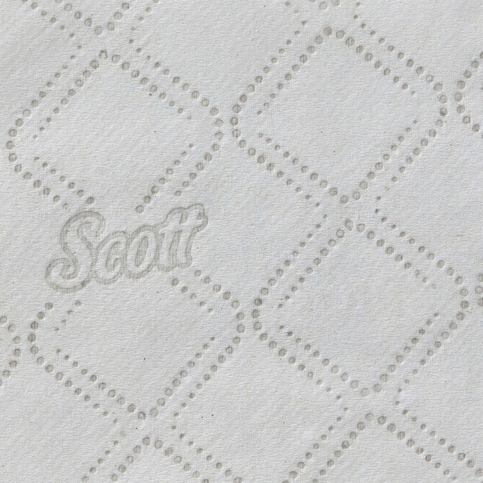 8508 Туалетная бумага Scott, 36 пач. х 250 л, 18.6 × 11 см, двухслойная, белая, 31 г/м²